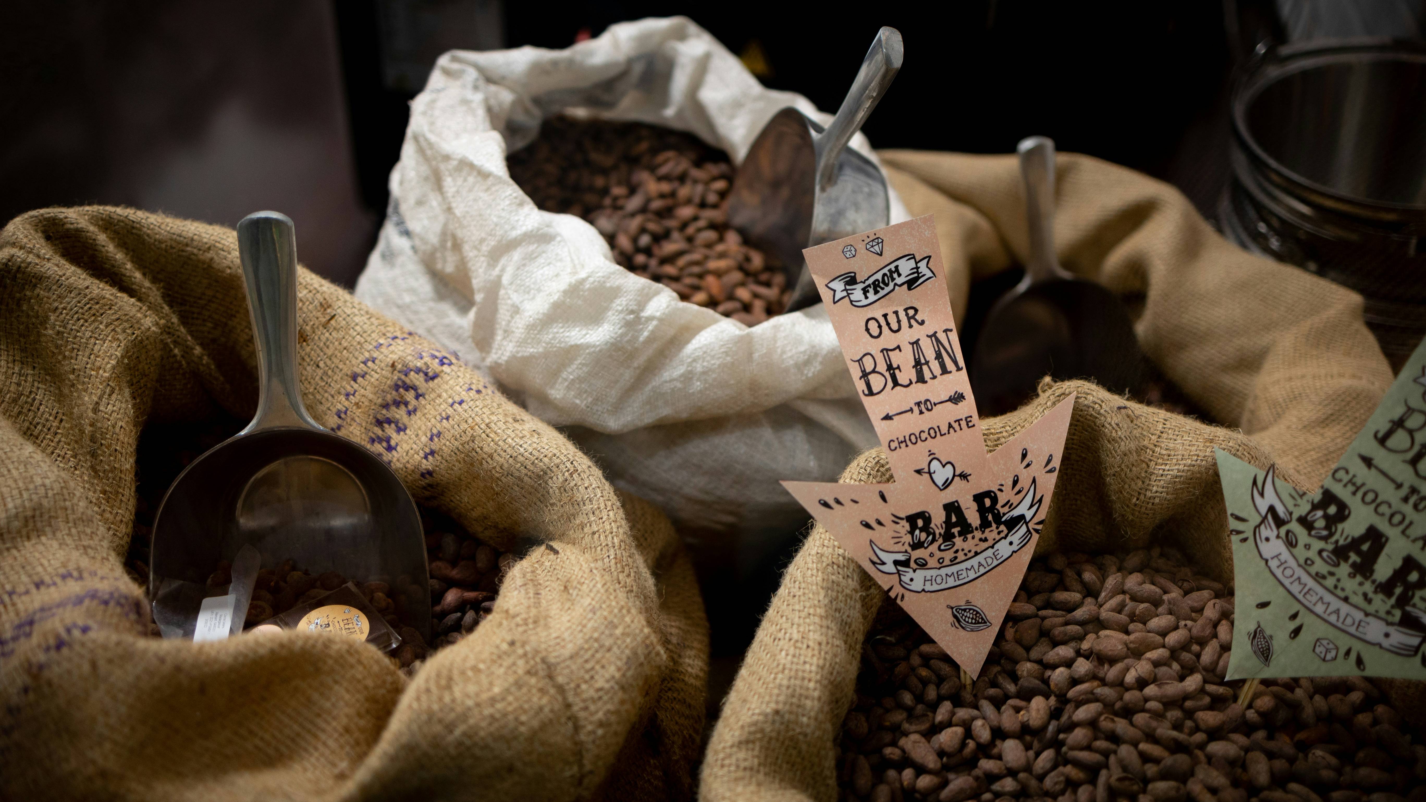 Mau Ekspor ke Luar Negeri? Begini Cara Freight Forwarder Membantu UMKM Go Global